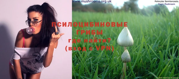 шишки Елабуга