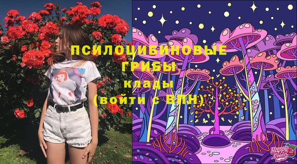 молекула духа Ельня