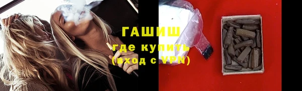 молекула духа Ельня