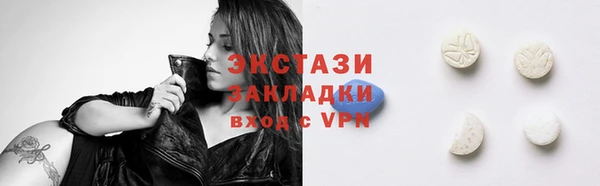 молекула духа Ельня