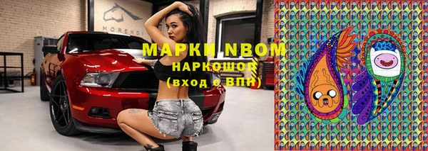молекула духа Ельня