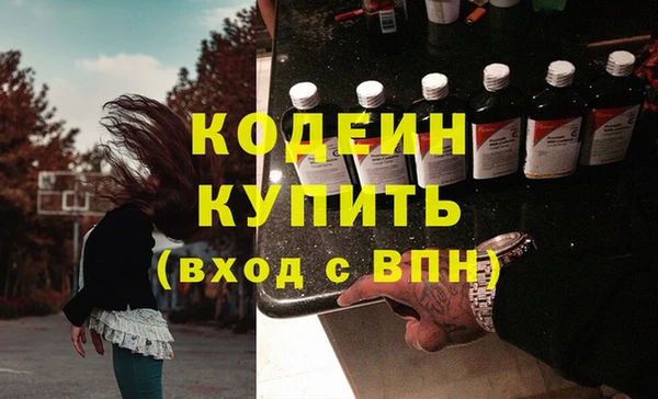 молекула духа Ельня