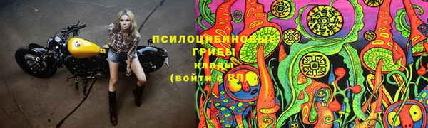твердый Заволжск