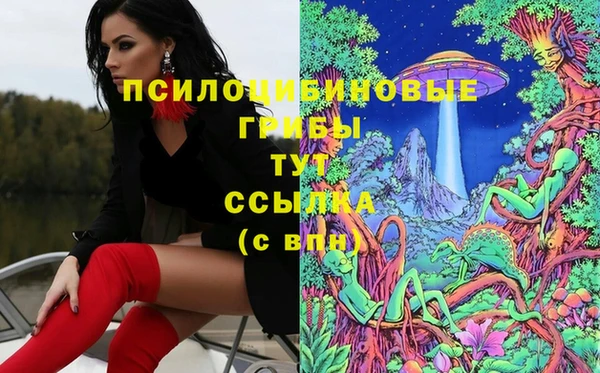 спайс Заволжье