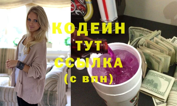 молекула духа Ельня