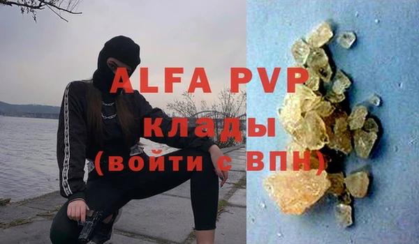 молекула духа Ельня