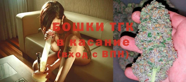 шишки Елабуга