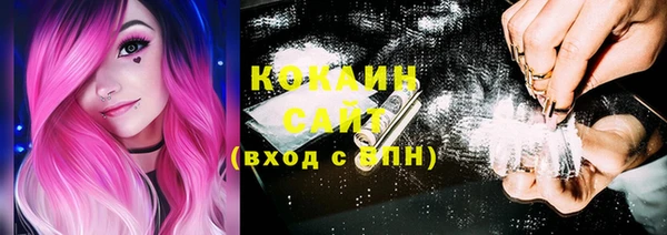 молекула духа Ельня
