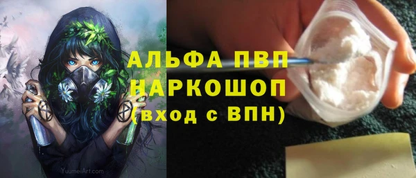 шишки Елабуга