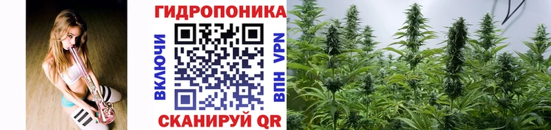 Купить  Камызяк  Бошки Шишки марихуана 